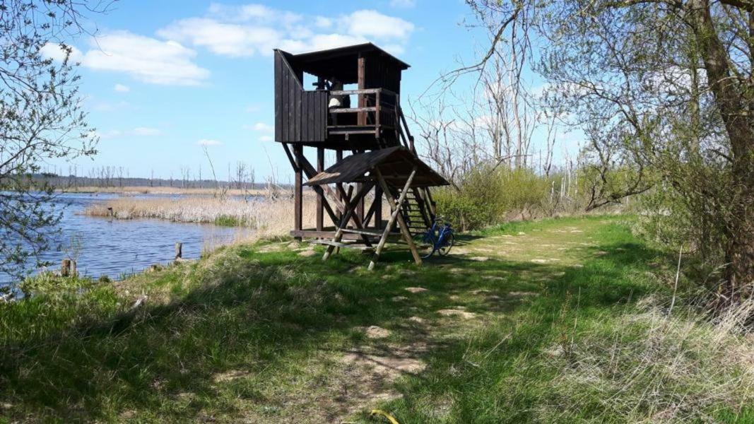 Ferienhaus Paul Am Klostersee, Urlaub Mit Hund Dargun Kültér fotó
