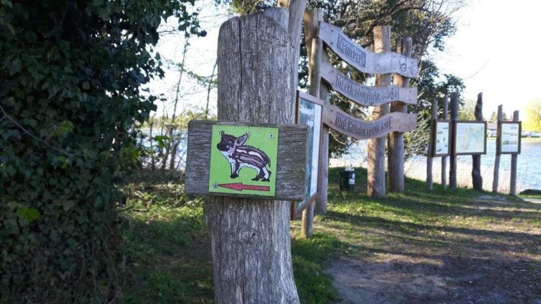 Ferienhaus Paul Am Klostersee, Urlaub Mit Hund Dargun Kültér fotó