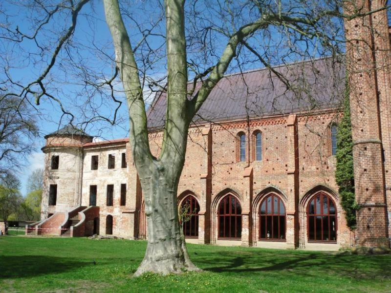 Ferienhaus Paul Am Klostersee, Urlaub Mit Hund Dargun Kültér fotó